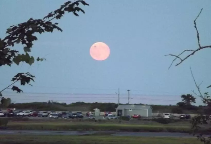 Мотель Mariner Resort