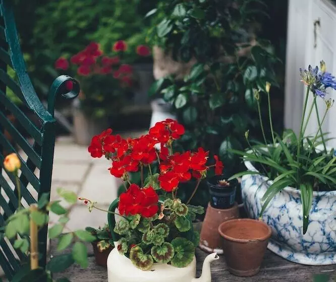 Bed and Breakfast Sci Du Muhlbach