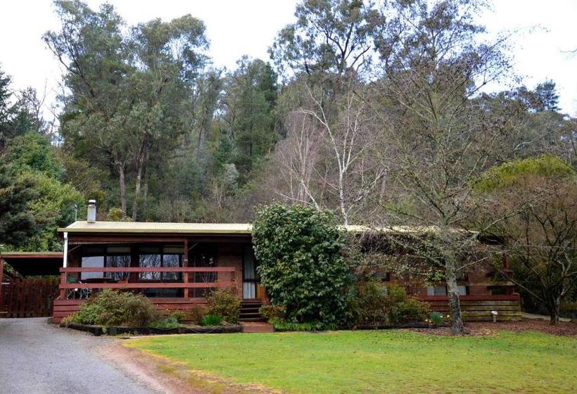 Alrima Lodge, Bright