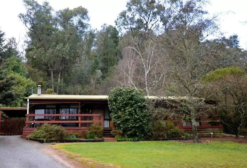 Alrima Lodge, Bright