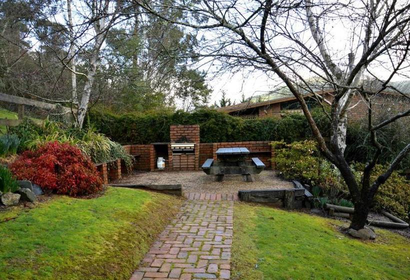 Alrima Lodge, Bright