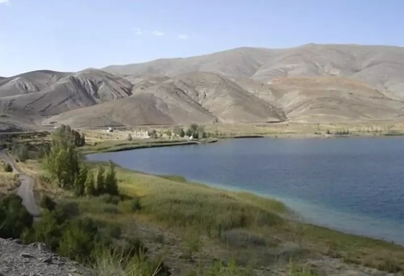 Majatalo Complexe Collier D  Ambre