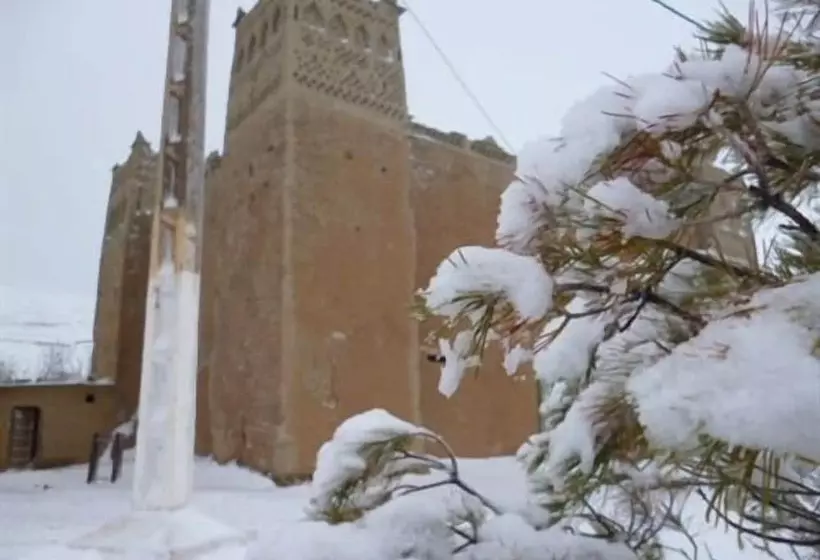 Majatalo Complexe Collier D  Ambre