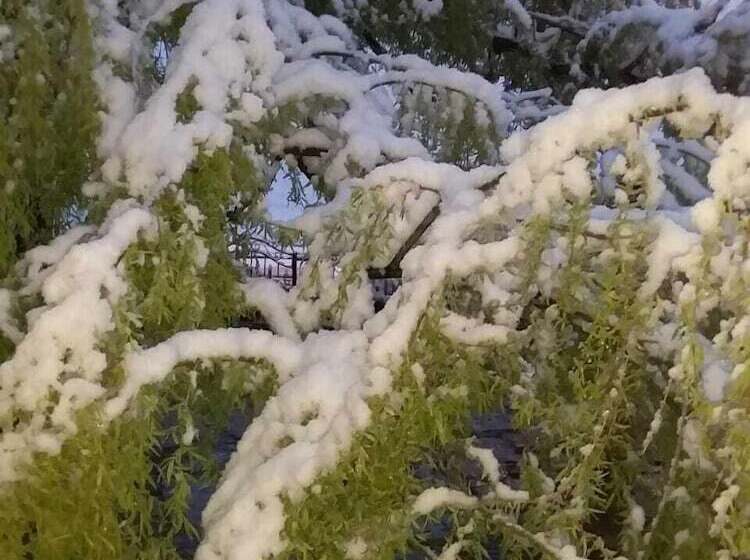 펜션 Complexe Collier D  Ambre