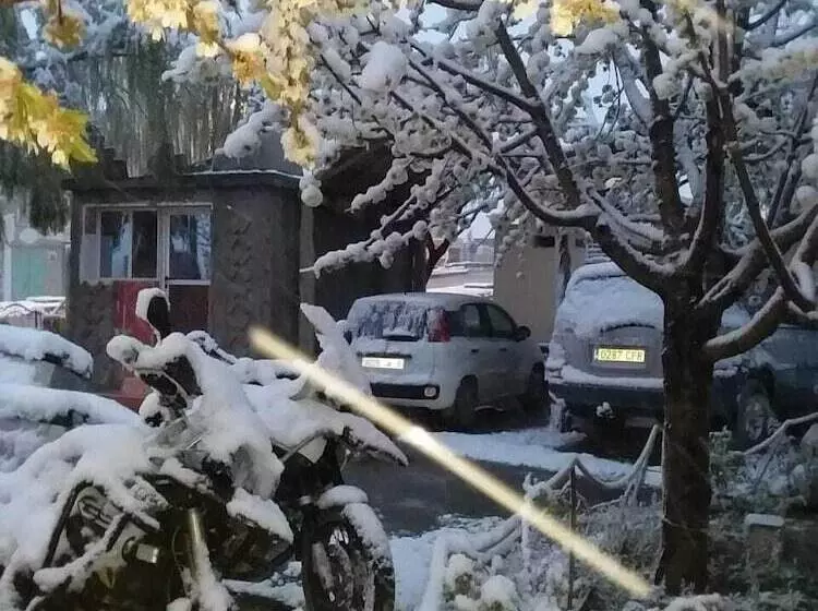 Majatalo Complexe Collier D  Ambre