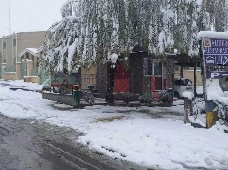 Majatalo Complexe Collier D  Ambre