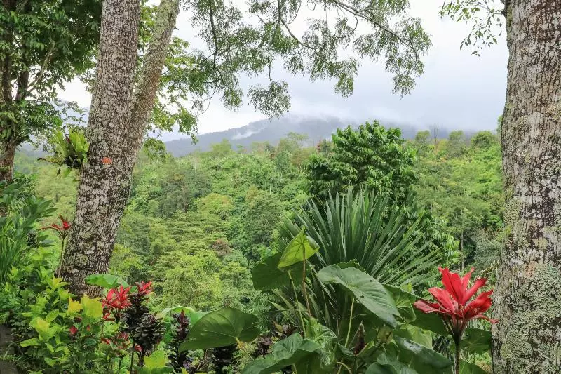 ペンション Mulia Garden Bungalows