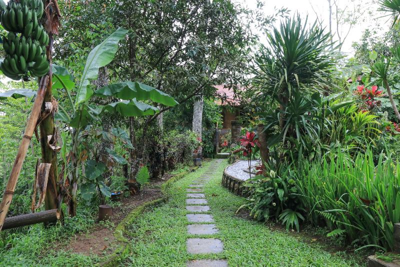 פנסיון Mulia Garden Bungalows