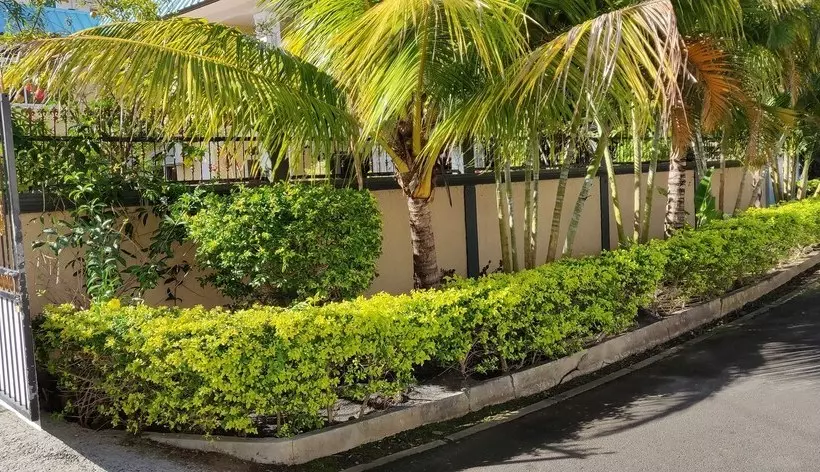 Gardenia Villa