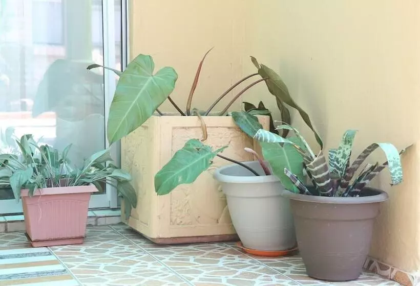 Majatalo Roba Monakedi Guest Lodge