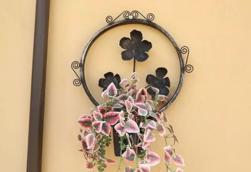 Majatalo Roba Monakedi Guest Lodge