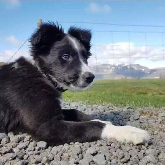 پانسیون Skálinn Between Gullfoss And Geysir – Myrkholt Farm
