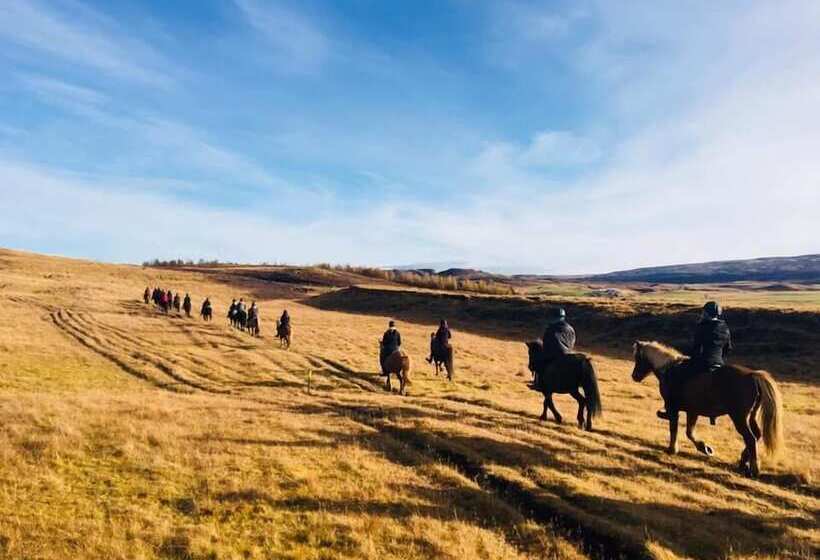 پانسیون Skálinn Between Gullfoss And Geysir – Myrkholt Farm