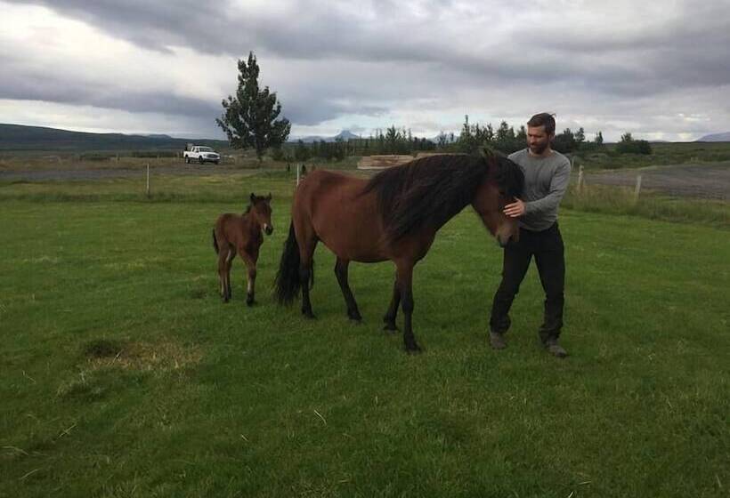 پانسیون Skálinn Between Gullfoss And Geysir – Myrkholt Farm