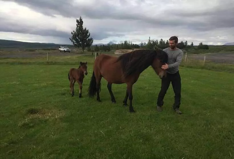 پانسیون Skálinn Between Gullfoss And Geysir – Myrkholt Farm
