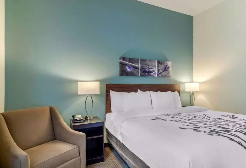 ホテル Sleep Inn Newnan Atlanta South