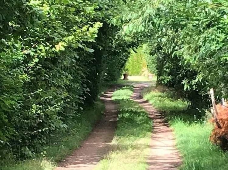 Bed and Breakfast Chambres D Hotes Fontarabier