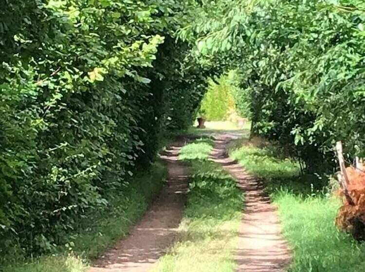 Bed & Breakfast Chambres D Hotes Fontarabier