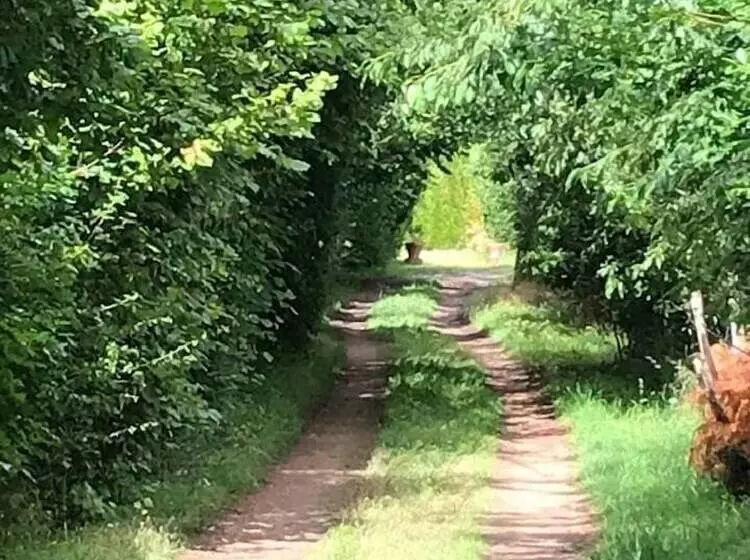 Aamiaismajoitus (B&B) Chambres D Hotes Fontarabier