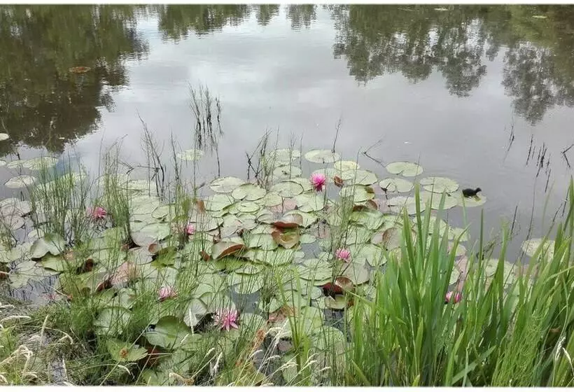 Aamiaismajoitus (B&B) Chambres D Hotes Fontarabier