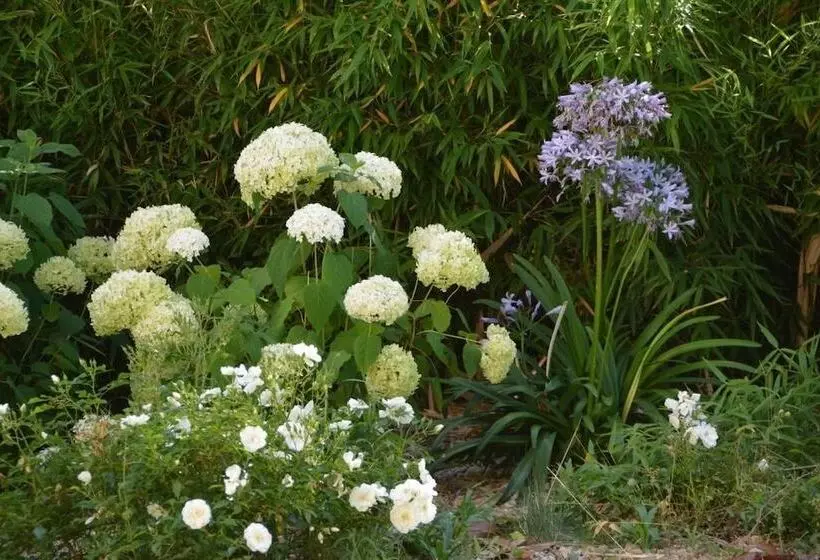 ベッドアンドブレックファースト Le Celadon