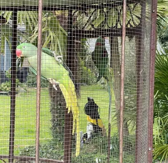 Aamiaismajoitus (B&B) Le Clos Saint Fiacre