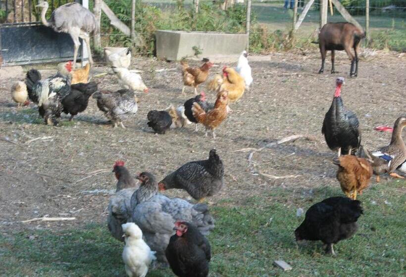 צימר Le Clos Saint Fiacre