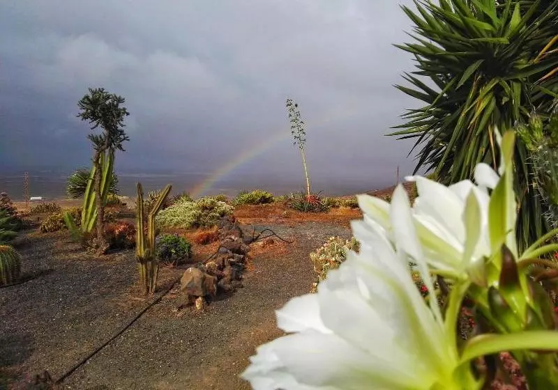 Casa Rural Los Ajaches