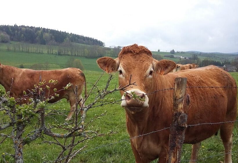 Hotell Camping De Fléchat