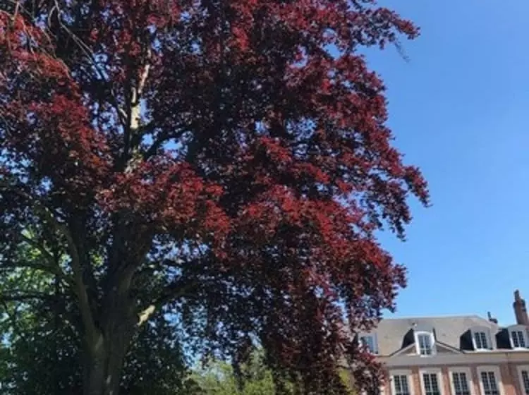 ホテル Les Champs