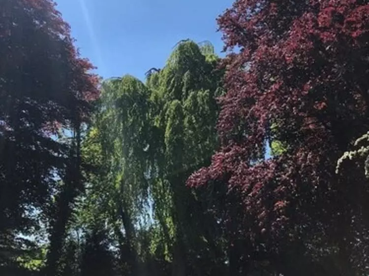 ホテル Les Champs