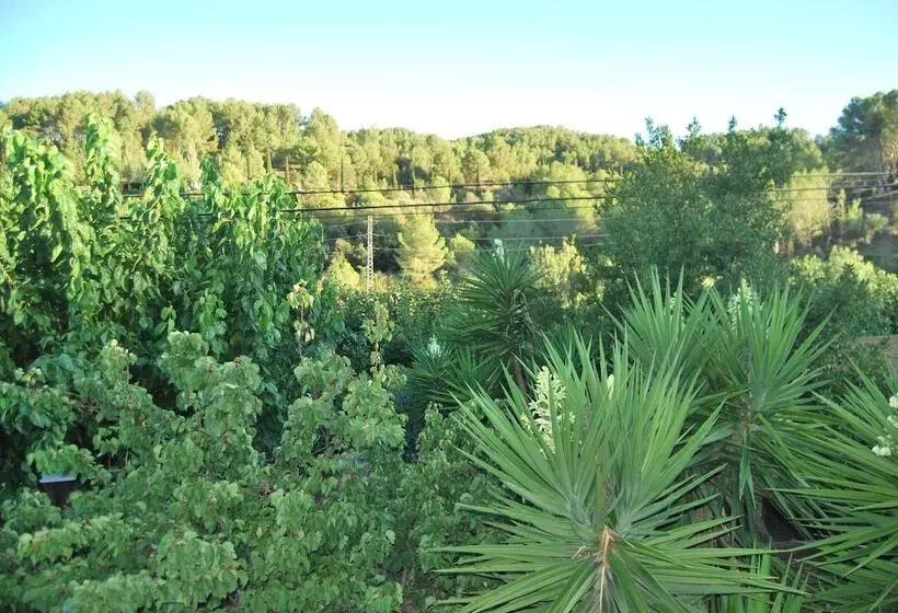 Apartamentos Les Moreres