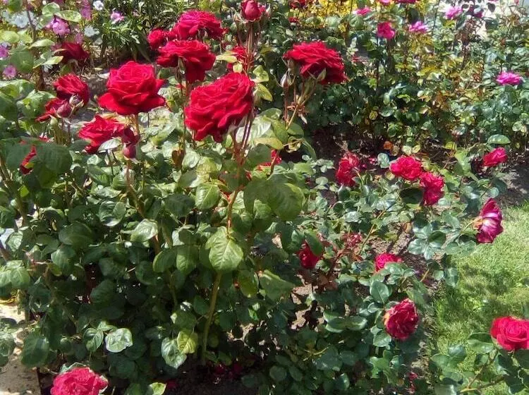 Aamiaismajoitus (B&B) Au Jardin De Creachavel