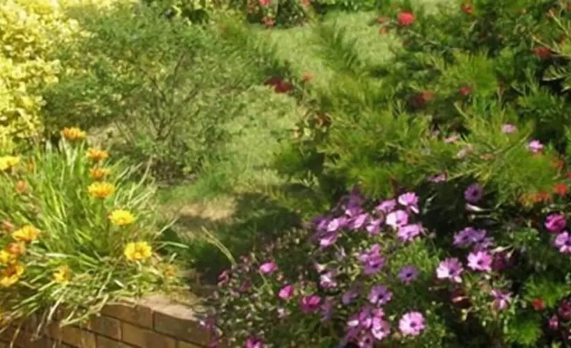 Aamiaismajoitus (B&B) Au Jardin De Creachavel