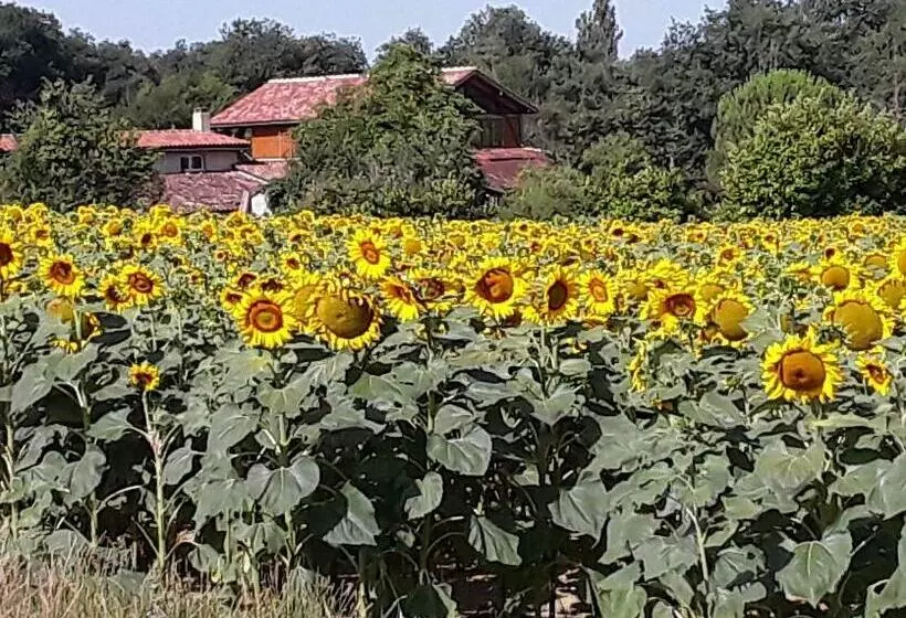 ベッドアンドブレックファースト Berdale