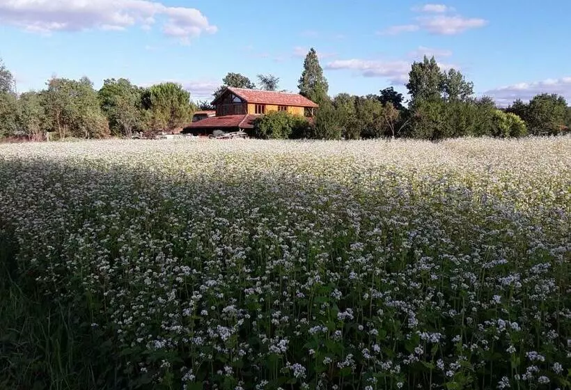 ベッドアンドブレックファースト Berdale