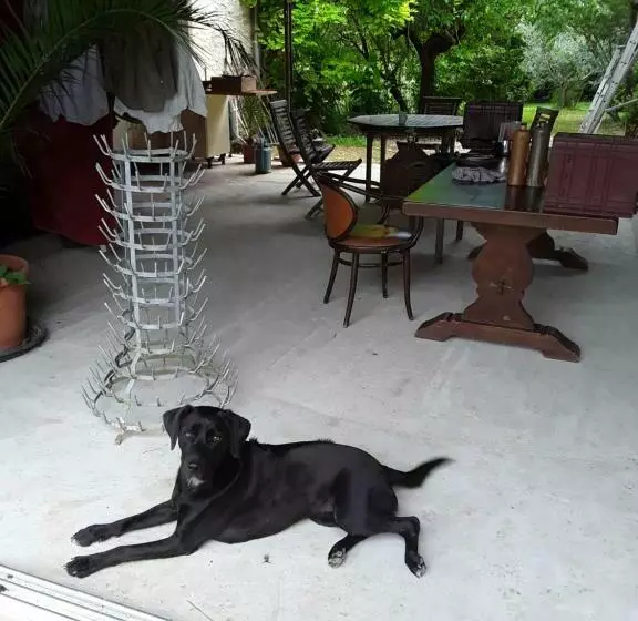 ベッドアンドブレックファースト Berdale