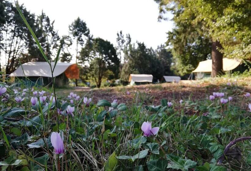 בית מלון כפרי Camping D Angers