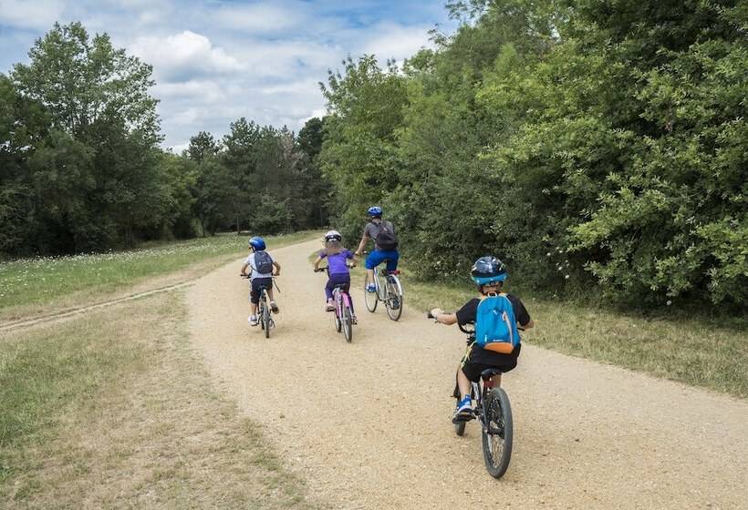 בית מלון כפרי Camping D Angers