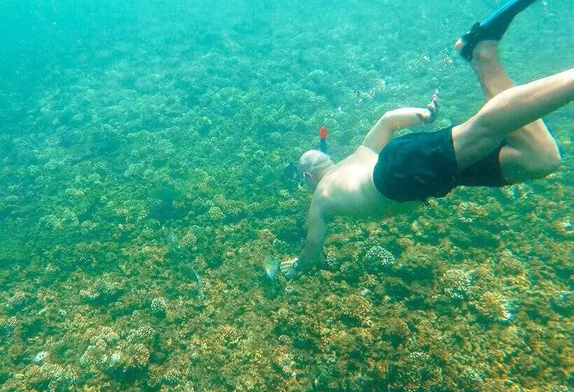 ベッドアンドブレックファースト Casa De Campo Pedasi