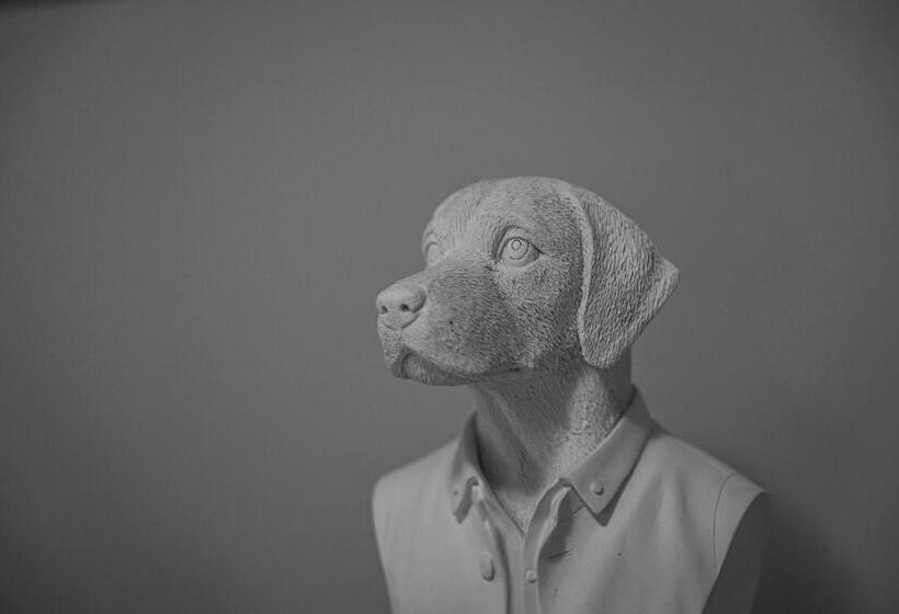 住宿加早餐  Château La Gravière