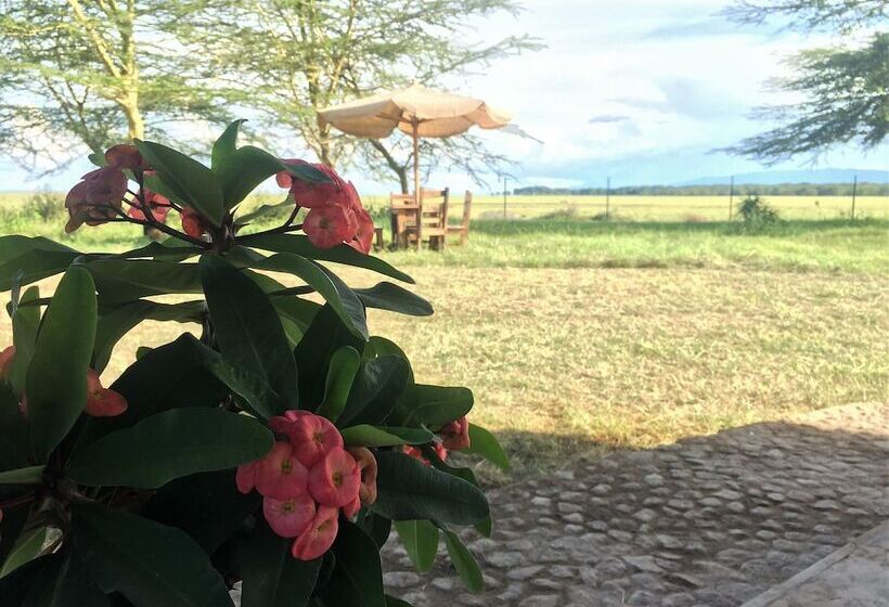 Отель Africa Safari Lake Manyara