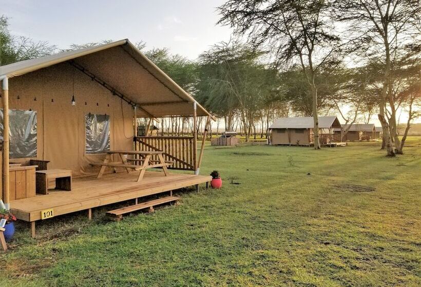 Отель Africa Safari Lake Manyara