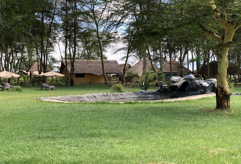 Отель Africa Safari Lake Manyara