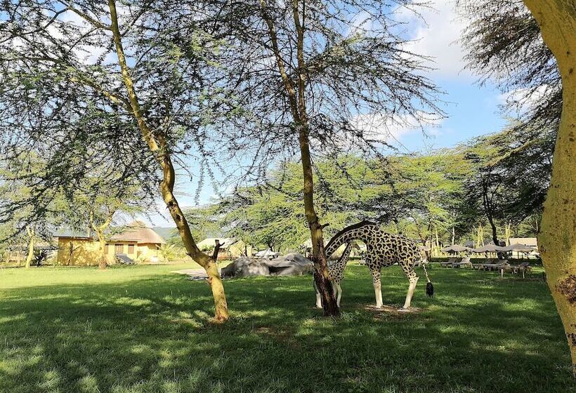 Отель Africa Safari Lake Manyara