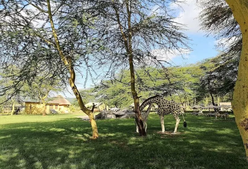 Hotelli Africa Safari Lake Manyara
