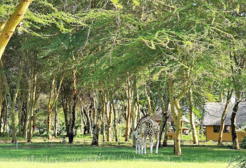 Отель Africa Safari Lake Manyara