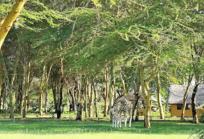 Hotelli Africa Safari Lake Manyara