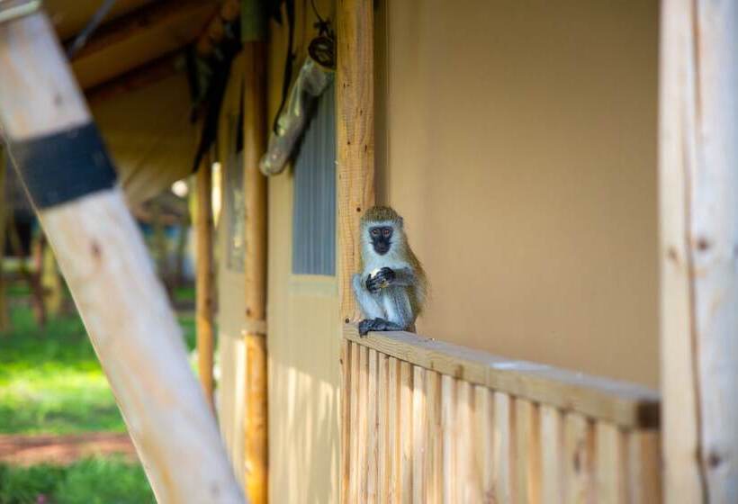 Отель Africa Safari Lake Manyara