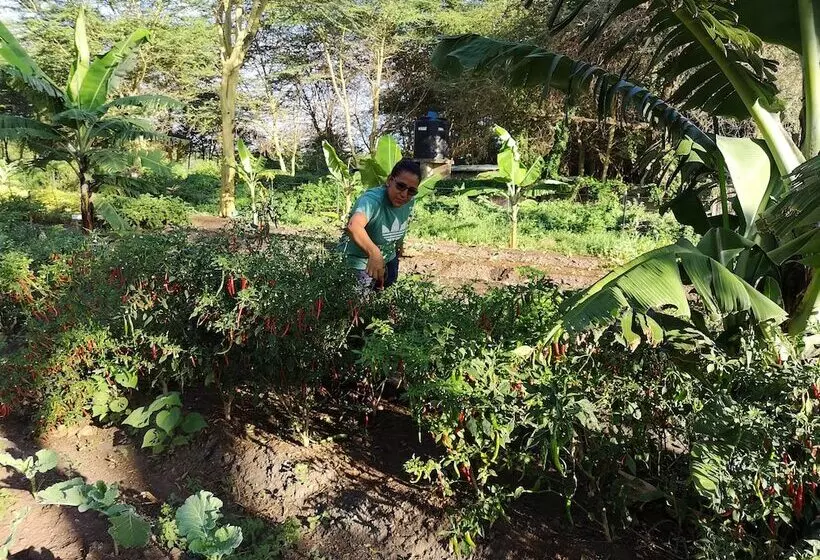 Hotelli Africa Safari Lake Manyara